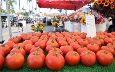 Oceanside Farmers Market