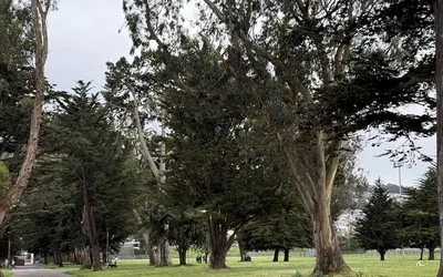 Protest at FanFest Saturday