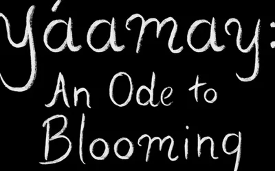 Yáamay: An Ode to Blooming