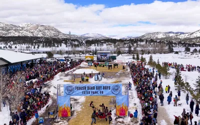 Leadville Skijoring