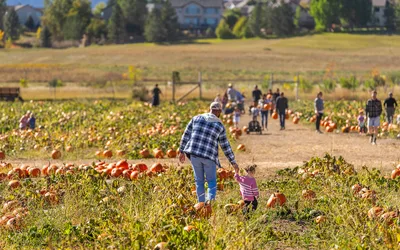 Ten Acres of October
