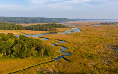 CT River Lecture Series – Black Bears