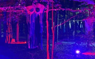 Halloween Glow in the Park
