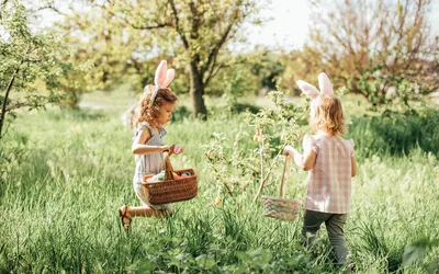 Easter Egg Hunt at Marshall Steam Museum