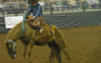 Arcadia All-Florida Championship Rodeo