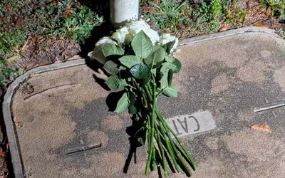 Counseling Support at Patriot Oaks Academy