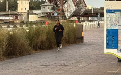 Florida Manatee Festival