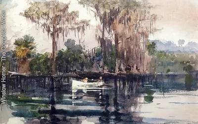 Horseback Riding on Amelia Island