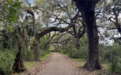 Pine Island Ridge Natural Area Hike