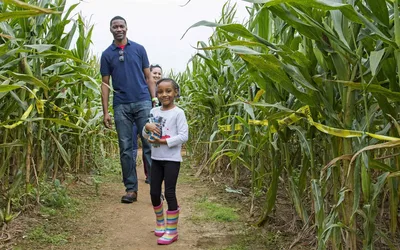 Nine Miles of Corn, One Way Out