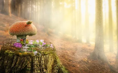Fairies in the Garden