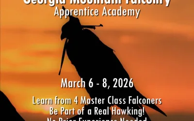 Georgia Mountain Falconry Apprentice Academy