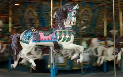 Gwinnett County Fair