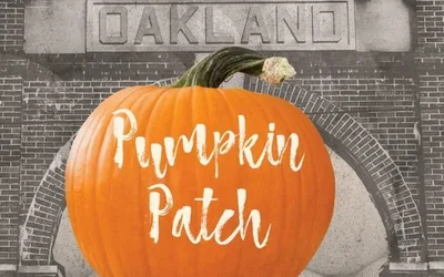 Pop-up Pumpkin Patch and Fall Festival