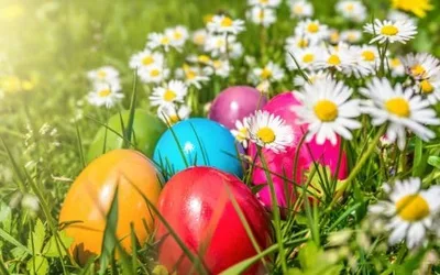 Spring Garden Egg-Stravaganza