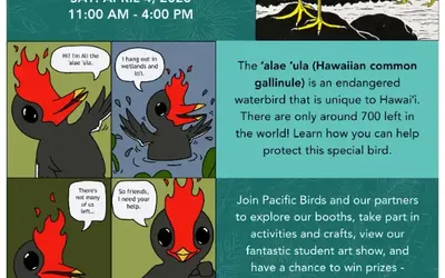 ʻALAE ʻULA at KUKUI GROVE CENTER!