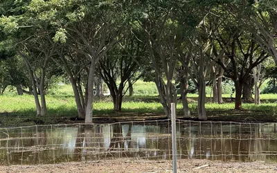 Community Fundraiser for Hawaii Flood Response