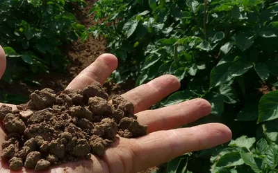 Free Workshop: G.R.O.W. Pilot Program