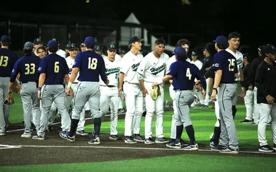 Hawaii Baseball Game