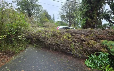 Informational Briefing on Hawaiʻi Hurricane Relief Fund