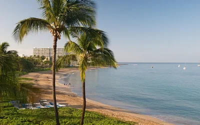 March guide to Hawaii vacation