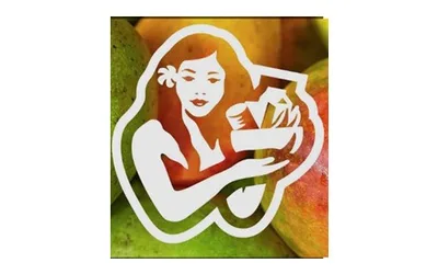 Snap Assistance