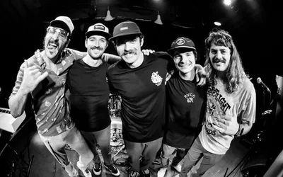 Twin Fin with Natural Vibrations