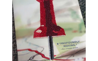 Bling My Book