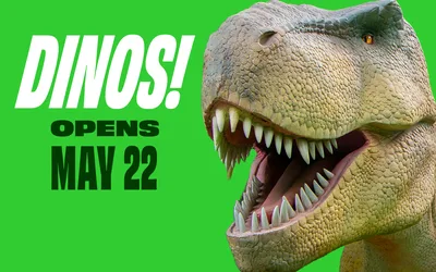 Dinos!