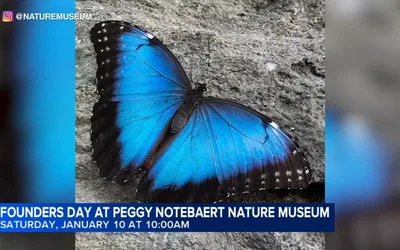 Founders Day Celebration