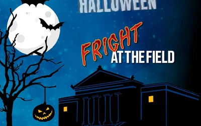 Fright at the Field