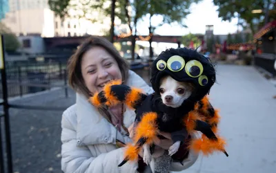 Howl-O-Ween Canine Cruise