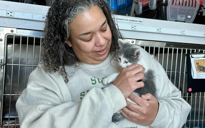 Kitten Shower & Cat Café