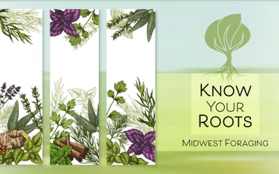 Know Your Roots: Midwest Foraging