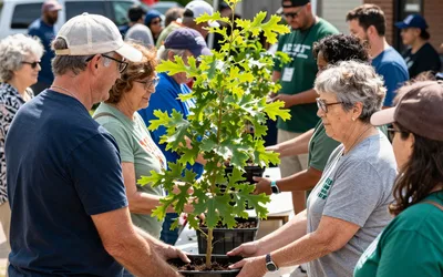 Oak-toberfest Tree Giveaway