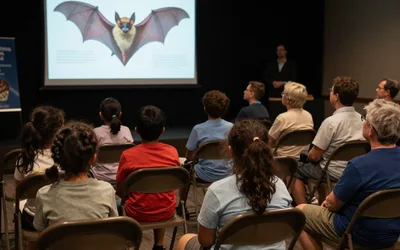Bat Chat