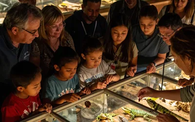 Cold Blooded Buffet