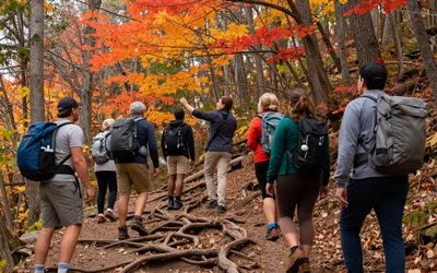 Fall Color Hike: Discovery Trail