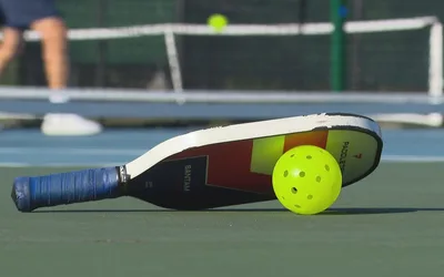 The Picklr Avon Location Opening