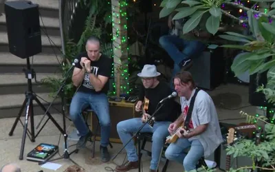 Botanical Blues Series