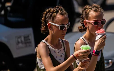 Iowa State Fair Day 7