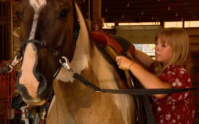 Cowgirl Queen Contest