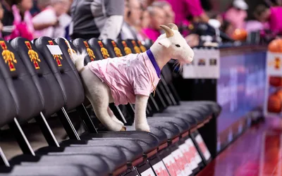 Manhattan matinee: Cyclones visit Wildcats