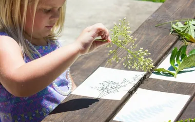 Pollinator Celebration at Little Sprouts Studio
