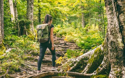 Bilingual Hike | Caminata Bilingüe