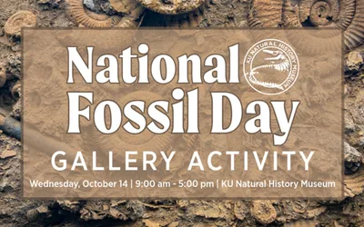 National Fossil Day at KU's Dyche