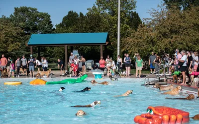 The Last Splash Goes to the Dogs