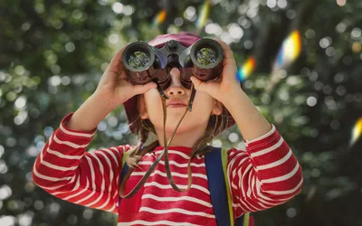 Young Birders Club