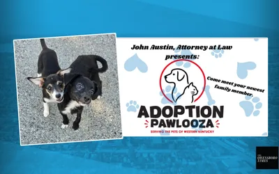 Adoption Pawlooza