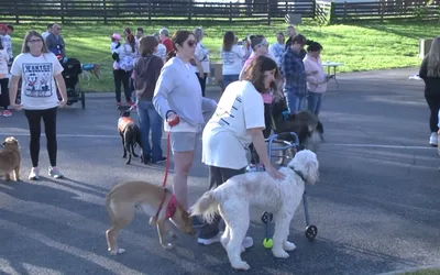 ARK’s Dawgy Dash 5k